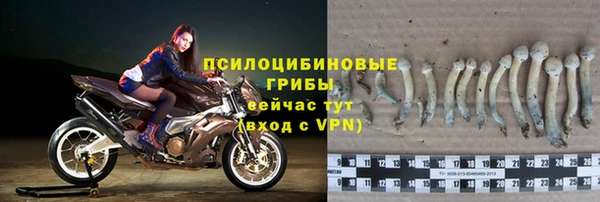 амфетамин Ессентукская