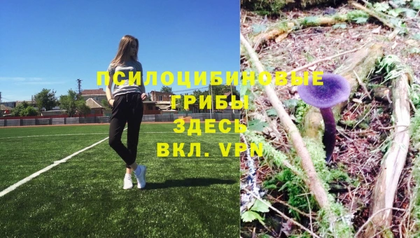 индика Новосибирск