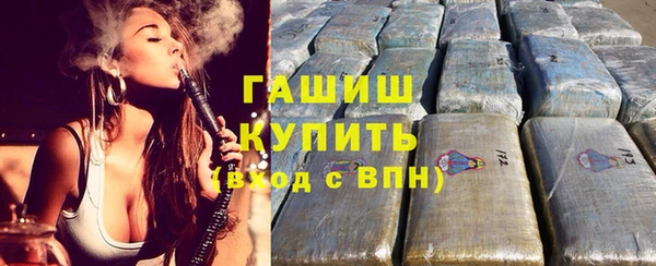 индика Новосибирск