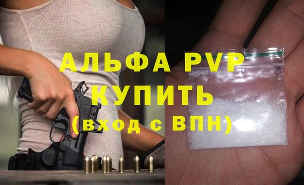 индика Новосибирск