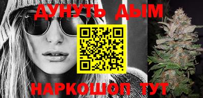 сатива Абакан