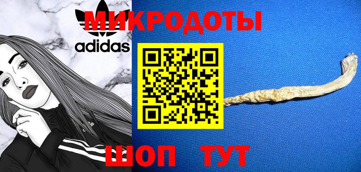 Псилоцибиновые грибы Cubensis  магазин продажи наркотиков  Россия  Псилоцибиновые грибы Psilocybe 