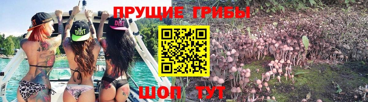 Галлюциногенные грибы MAGIC MUSHROOMS Россия