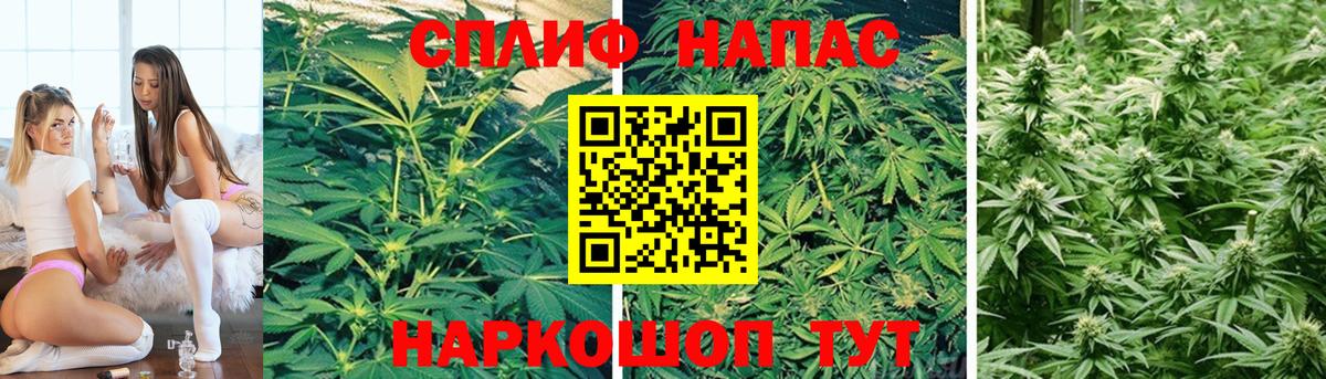 Бошки марихуана Amnesia  Вход с VPN  Россия  Марихуана Amnesia 